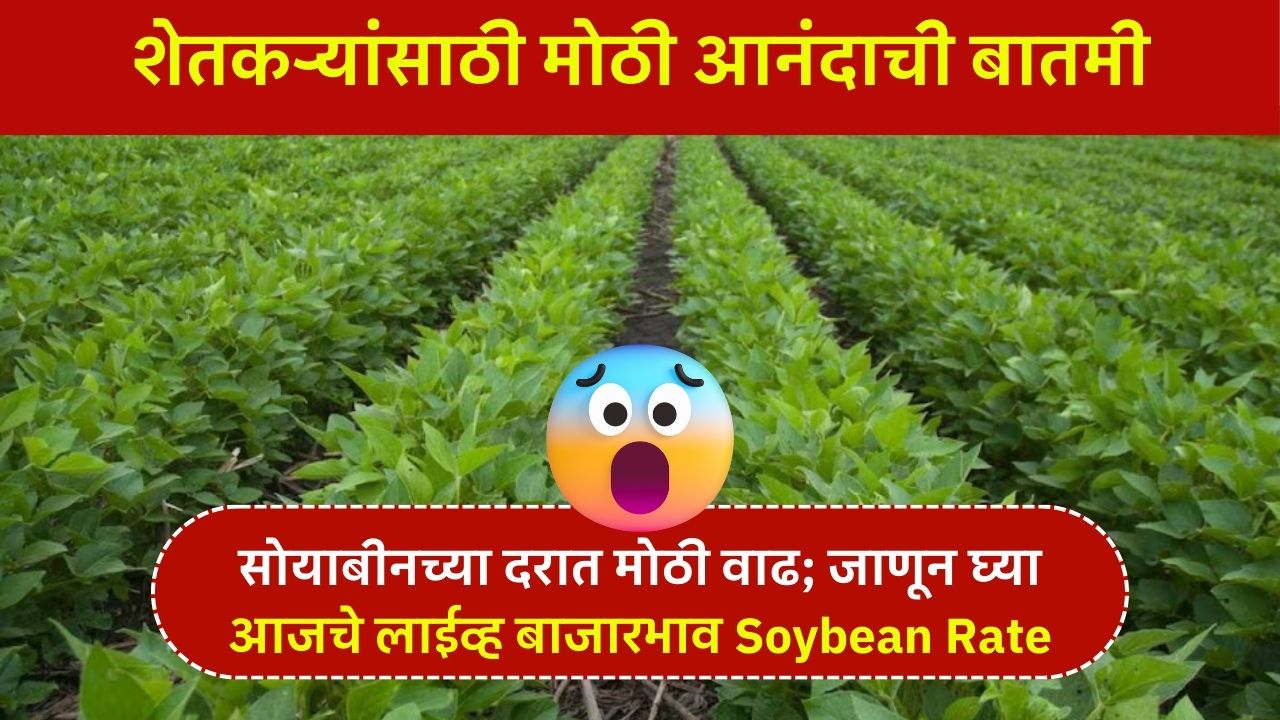 Soybean Rate Today News