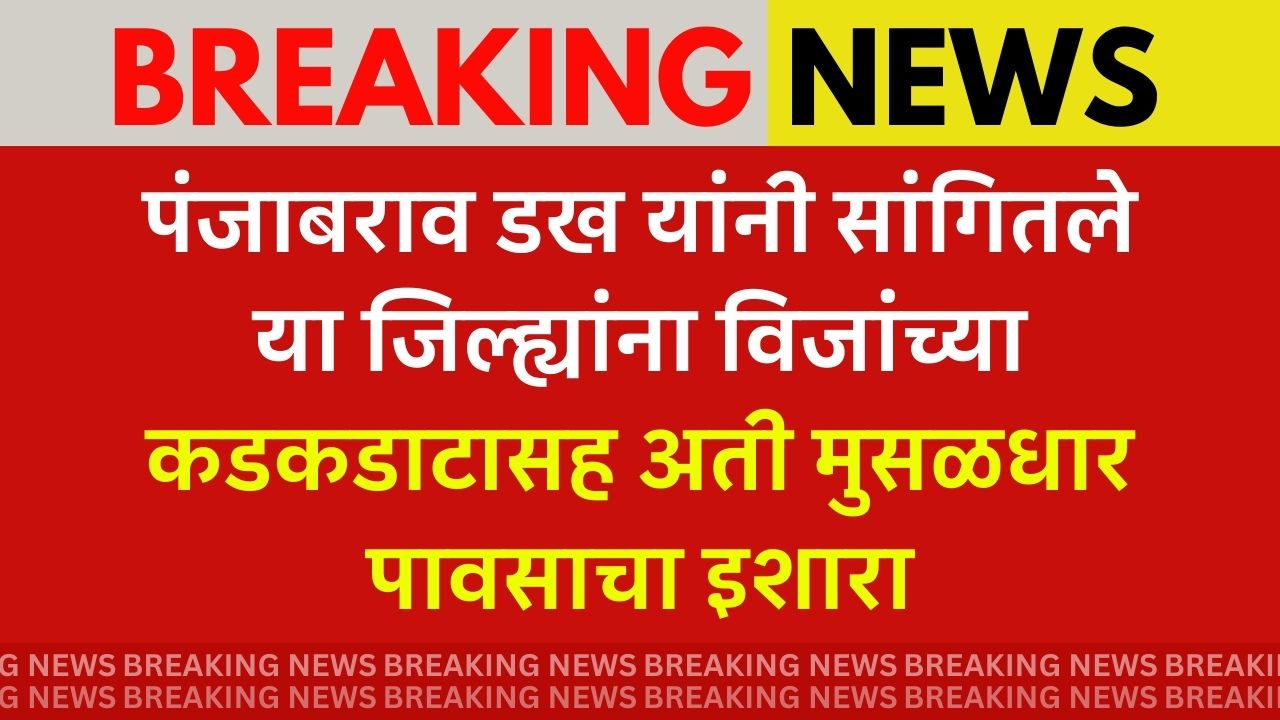 IMD Report