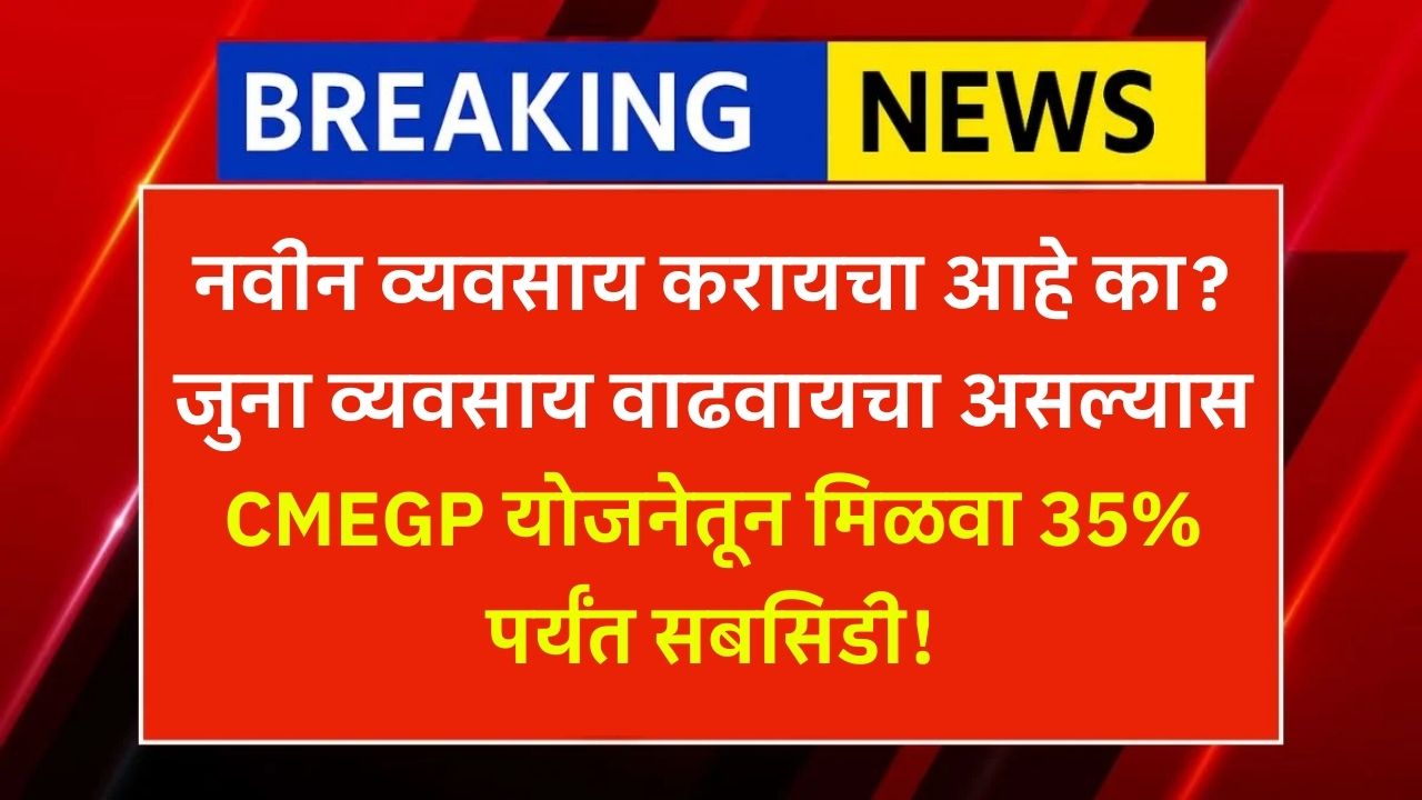 cmegp subsidy scheme