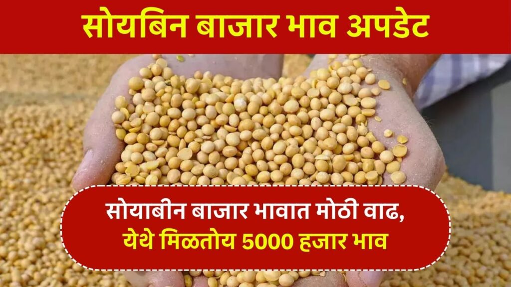 soyabean market