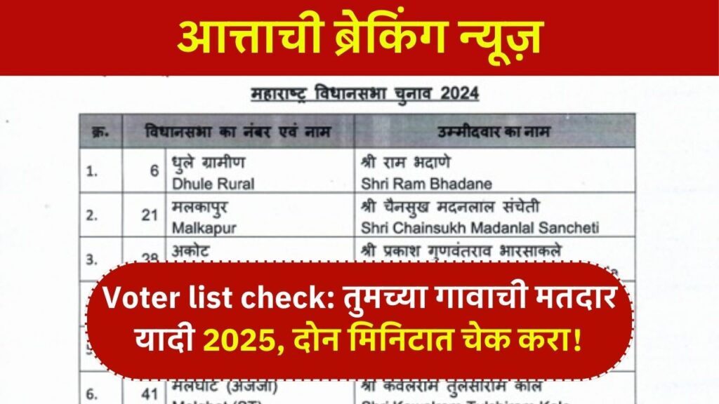 Voter list check