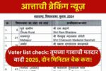 Voter list check