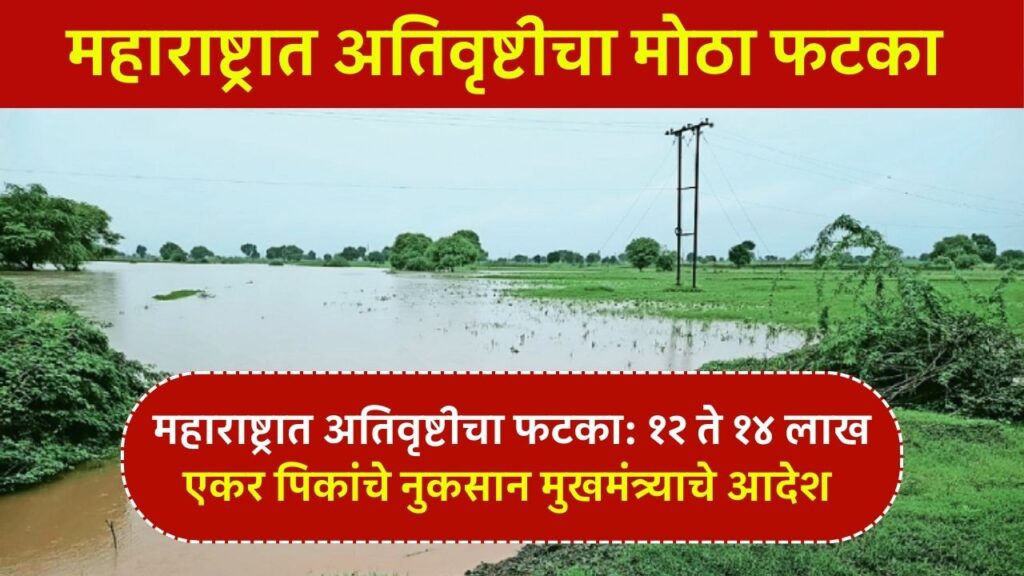 Devendra Fadnavis adesh