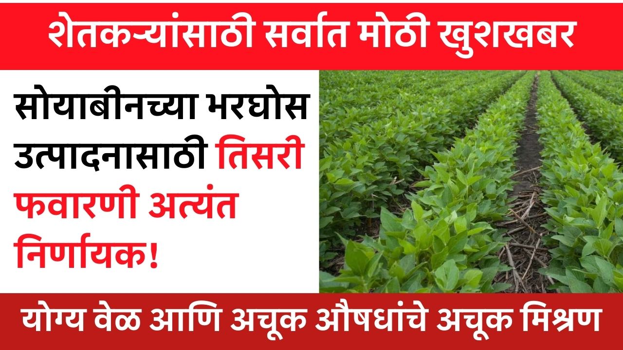 Soyabean Favarni Update