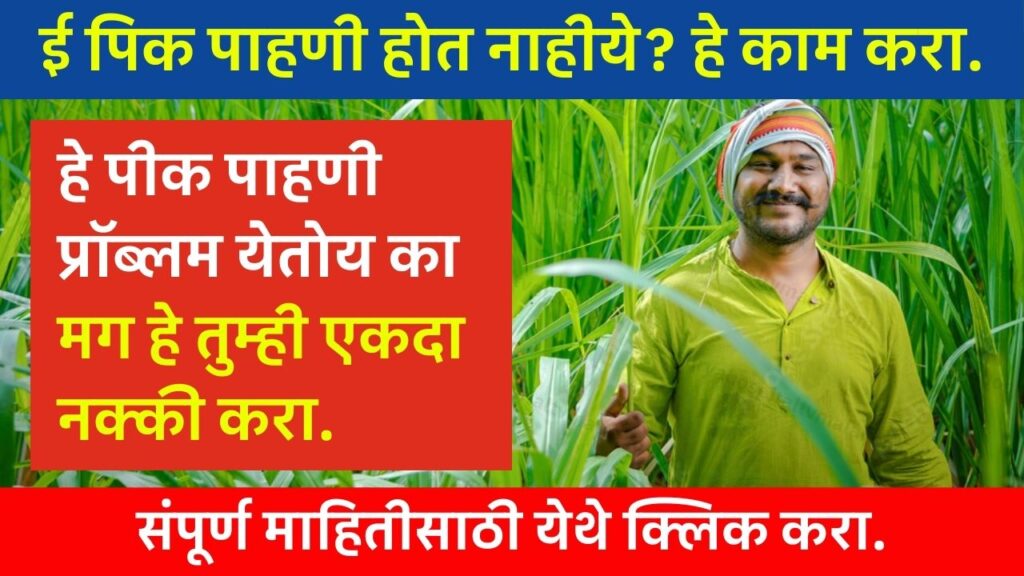 E Pik Pahani