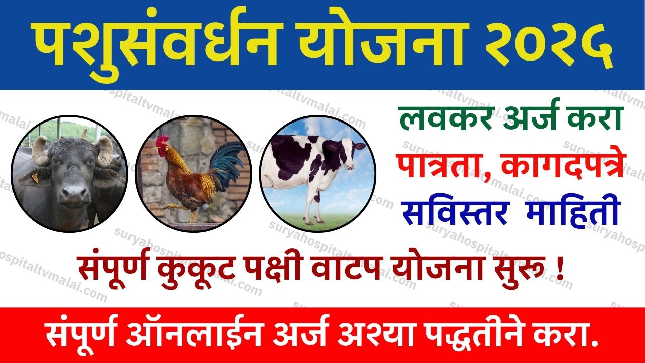 Sheli Vatap Yojana