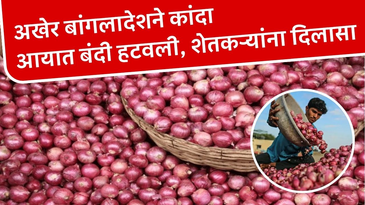 Onion Rate Update