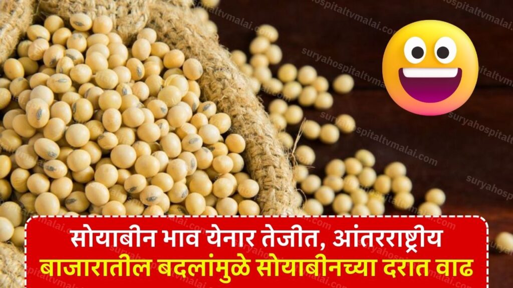soyabin navin bajar bhav