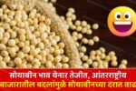soyabin navin bajar bhav
