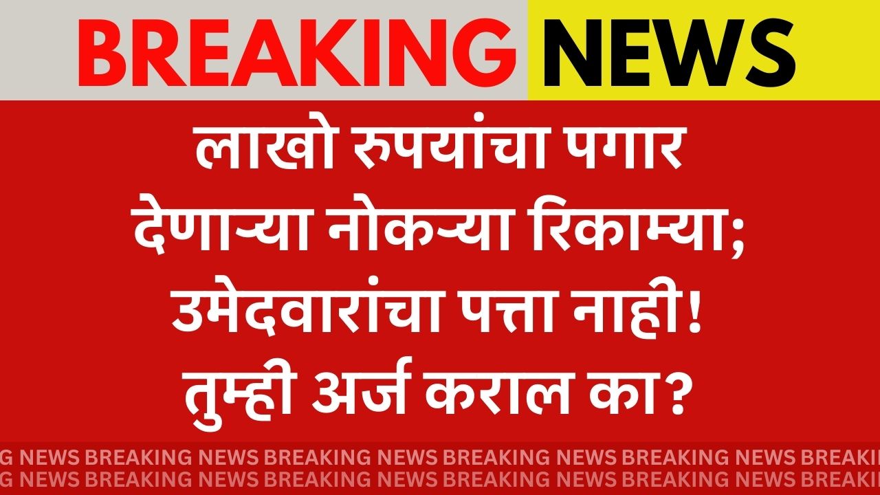 IT Nokari Update